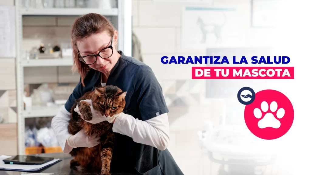 Garantiza la salud de tu mascota